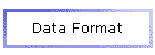 Data Format