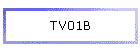 TV01B