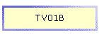 TV01B